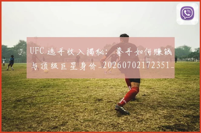 UFC 选手收入揭秘：拳手如何赚钱与顶级巨星身价_20260702172351_20260714220021