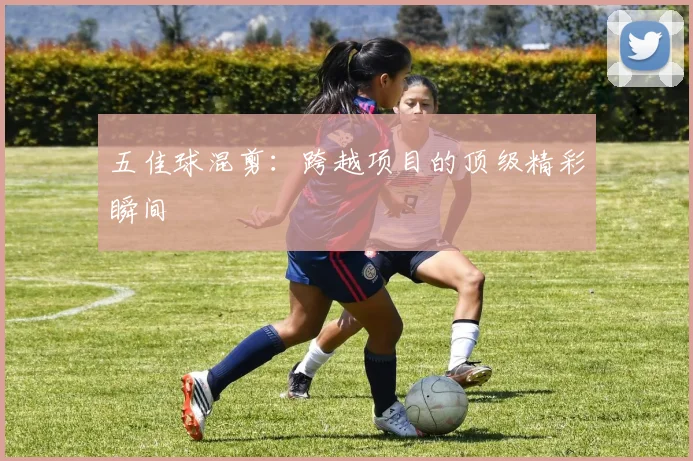 五佳球混剪：跨越项目的顶级精彩瞬间