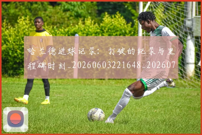 哈兰德进球记录：打破的纪录与里程碑时刻_20260603221648_20260704170530