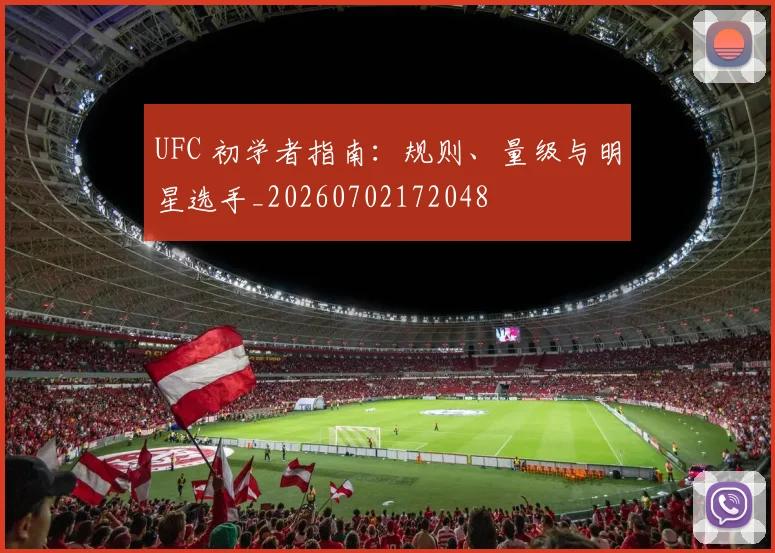 UFC 初学者指南:规则、量级与明星选手_20260702172048